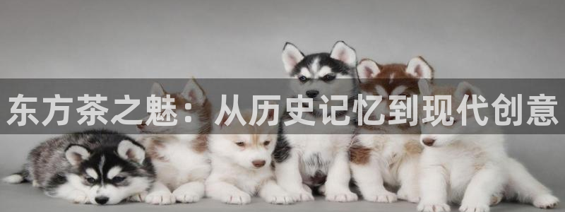 鸿运投注网平台