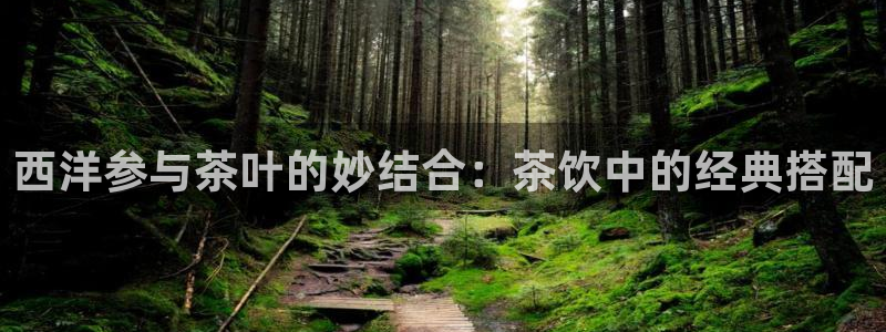 鸿运代拍平台