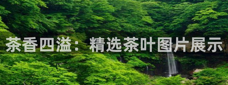 鸿运来手游平台