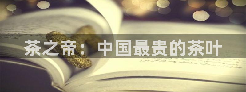 鸿运兄弟创造平台
