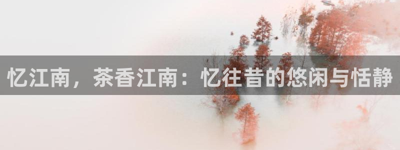 鸿运合拍平台