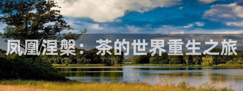 鸿运信任平台
