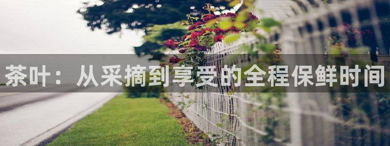 鸿运平台代还骗局
