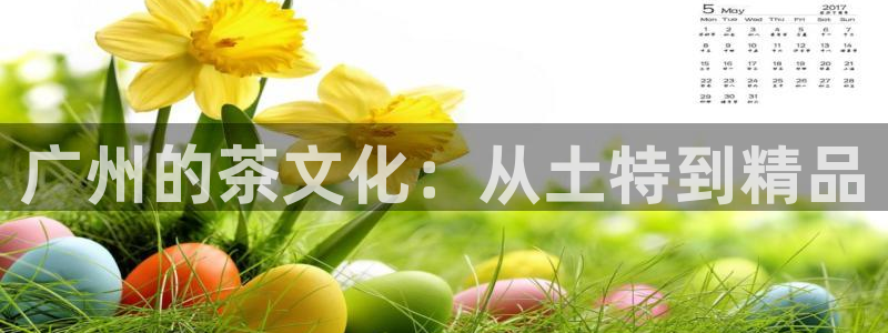 琥珀鸿运平台