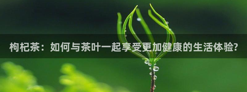 鸿运商城平台