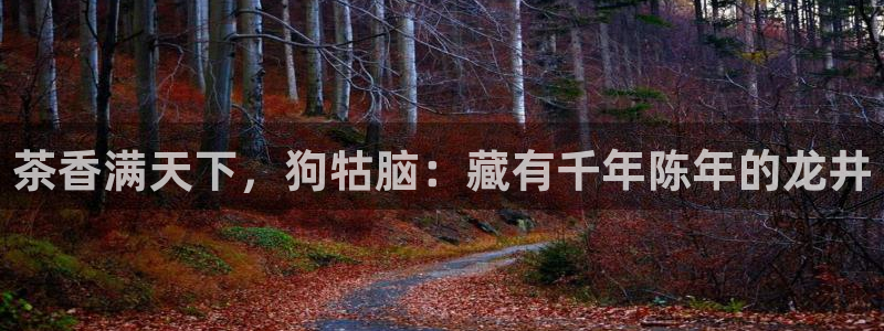鸿运游戏平台投注