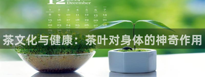 鸿运直播彩票平台