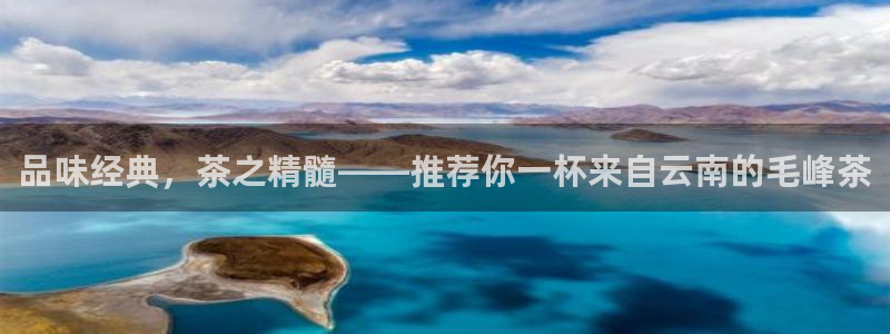 鸿运公司有哪些平台