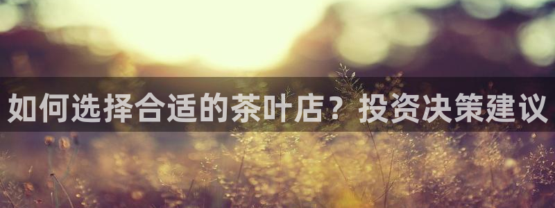 鸿运聊天计划平台