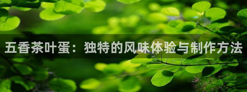 琥珀鸿运是什么平台