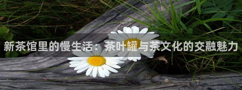 琥珀鸿运平台挣钱真实吗