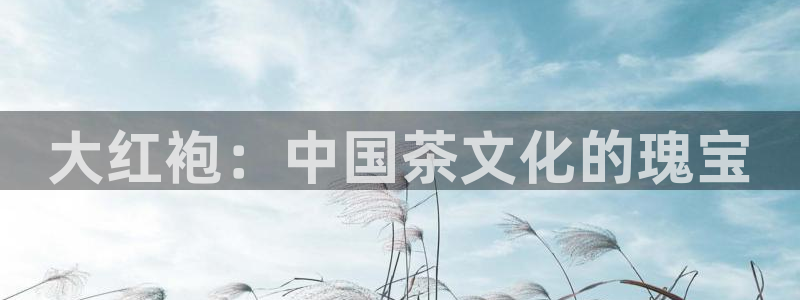 鸿运平台带赚