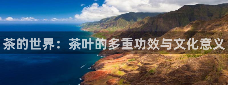 鸿运最新平台