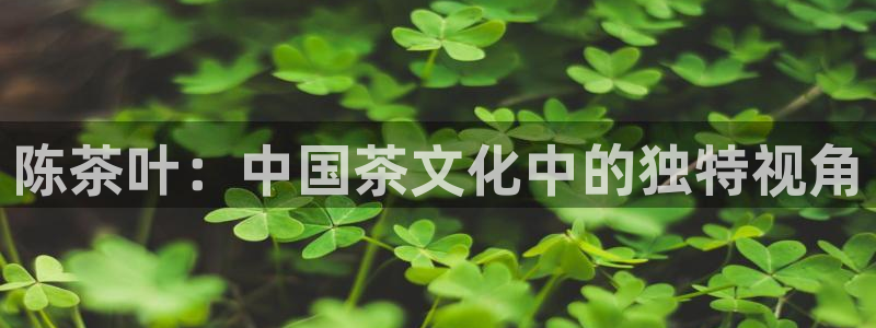 鸿运棋牌app游戏平台