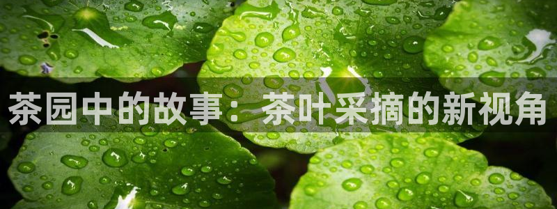 鸿运官网平台