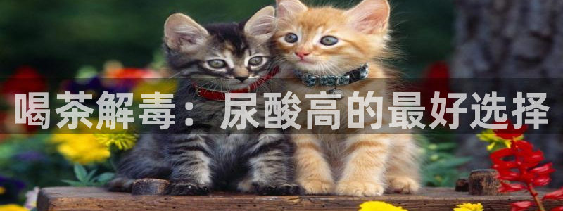 鸿运借款平台可靠吗