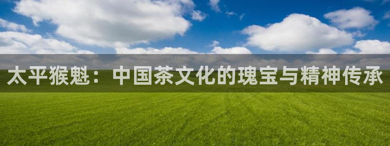 鸿运直播平台会员