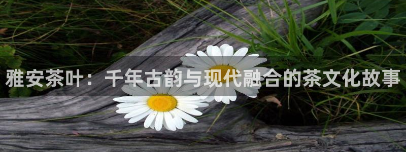 鸿运在线投资平台