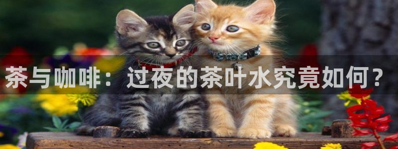 下载鸿运直播平台