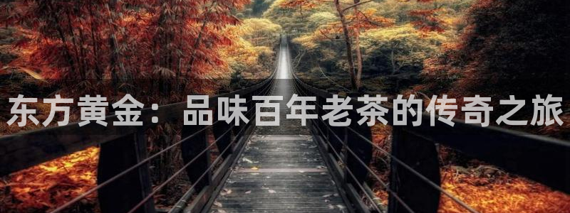 鸿运彩票平台官网