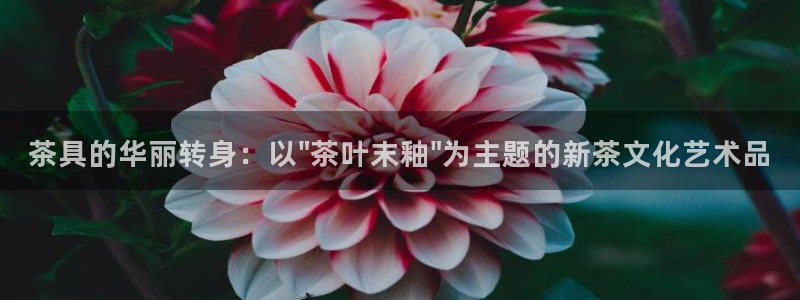 鸿运平台骗局揭秘