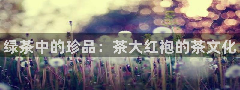 鸿运官网平台
