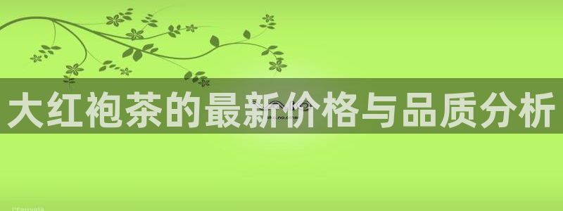 鸿运投资平台