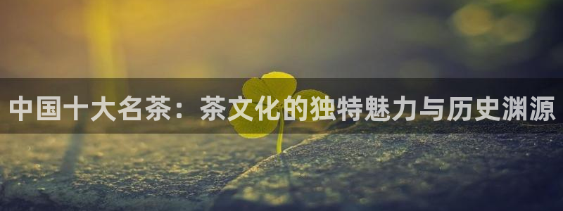 鸿运集团平台官网