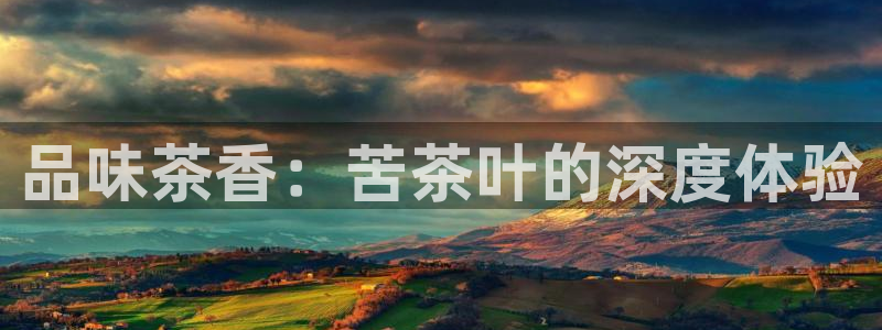 鸿运赌钱平台
