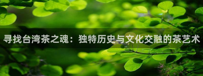 彩鸿运平台