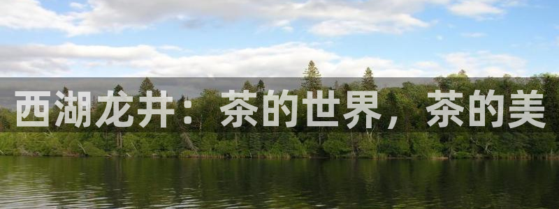 鸿运公司滴滴平台