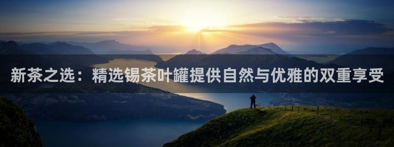 鸿运通贷款平台