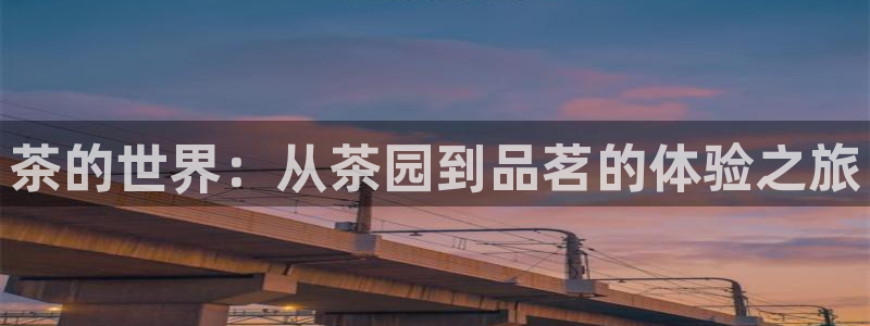鸿运当头直播平台
