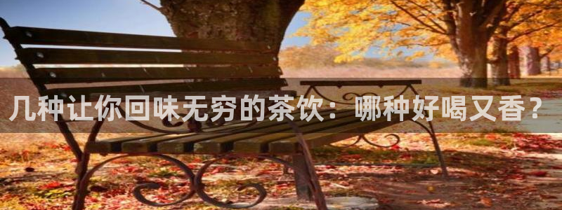 鸿运连连平台