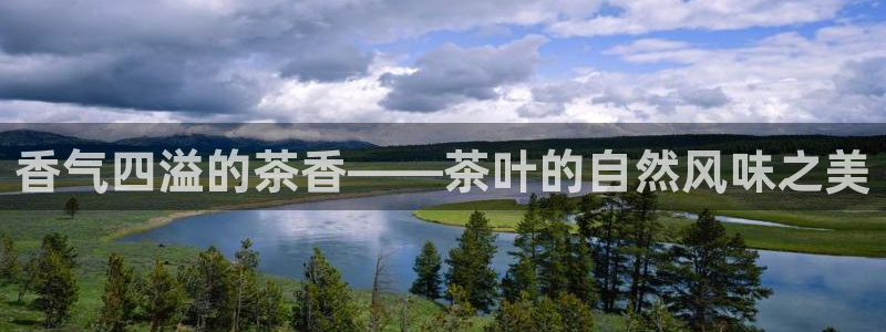 鸿运最佳平台