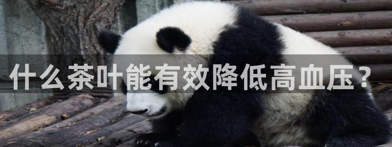 彩鸿运平台