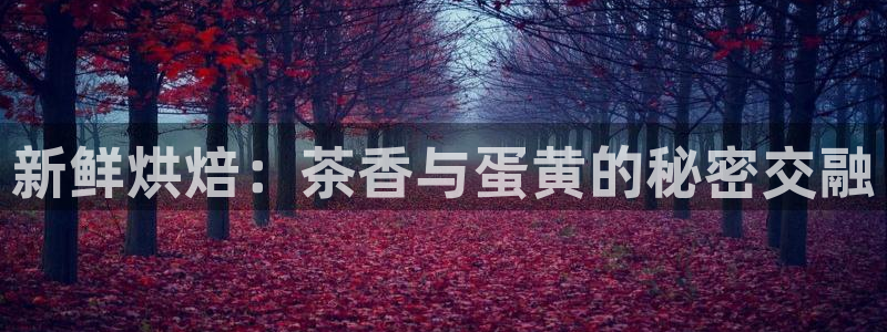 鸿运连锁管理平台