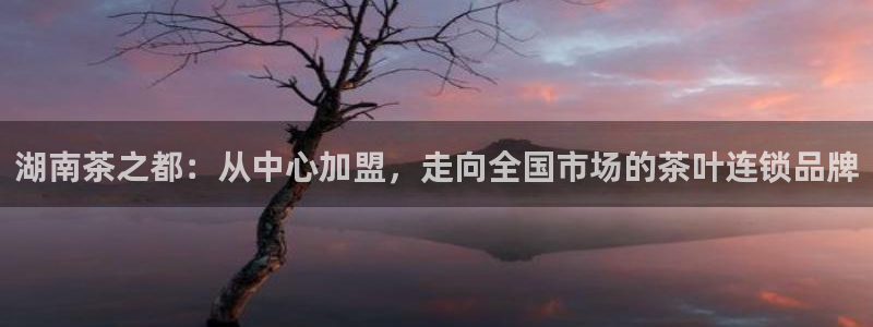 鸿运平台刷投注