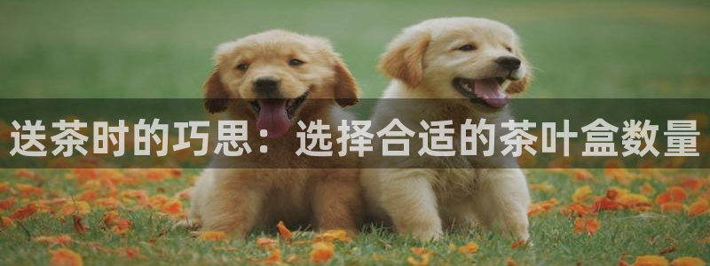 鸿运宝投资理财平台