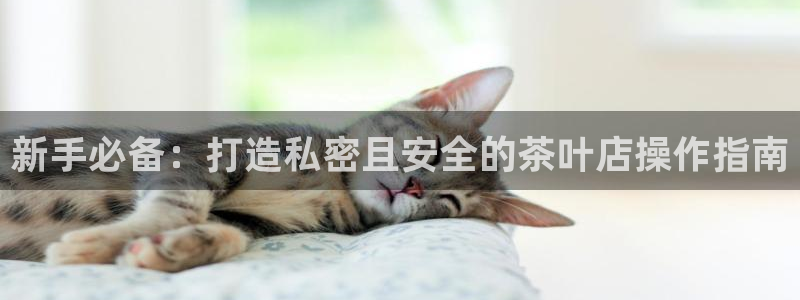 鸿运开的平台