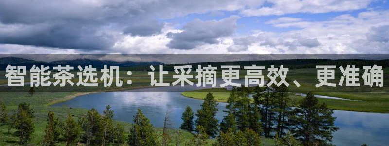 鸿运彩票平台可靠吗
