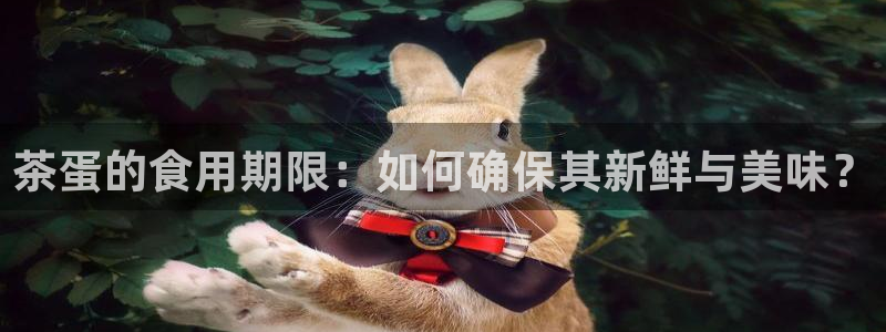 鸿运瓦罐团购平台