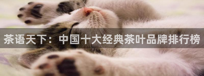 彩鸿运平台
