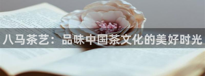 鸿运福星平台