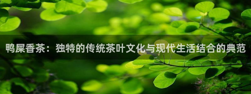 鸿运策略平台股票骗局