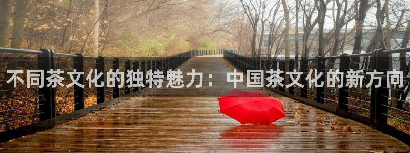 鸿运直播平台游戏