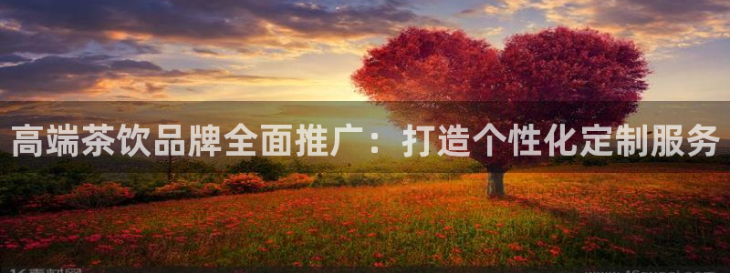 邹平台子鸿运