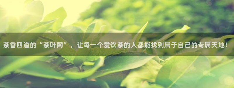 鸿运投资平台