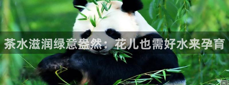 鸿运军团平台被骗