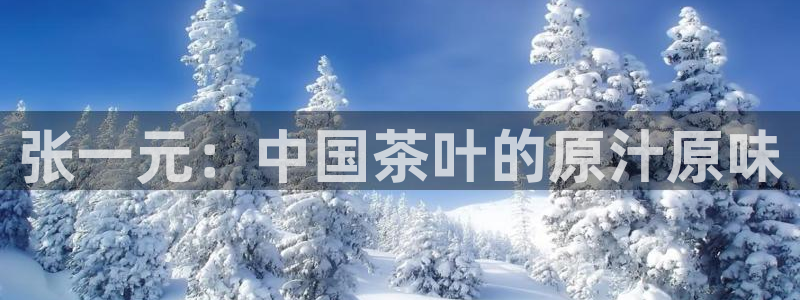 鸿运满堂平台